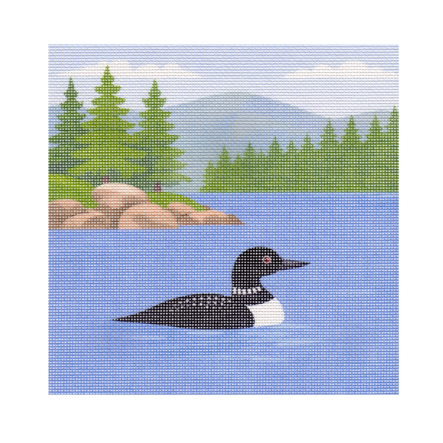 Loon in Lake — 12" x 12" Canvas