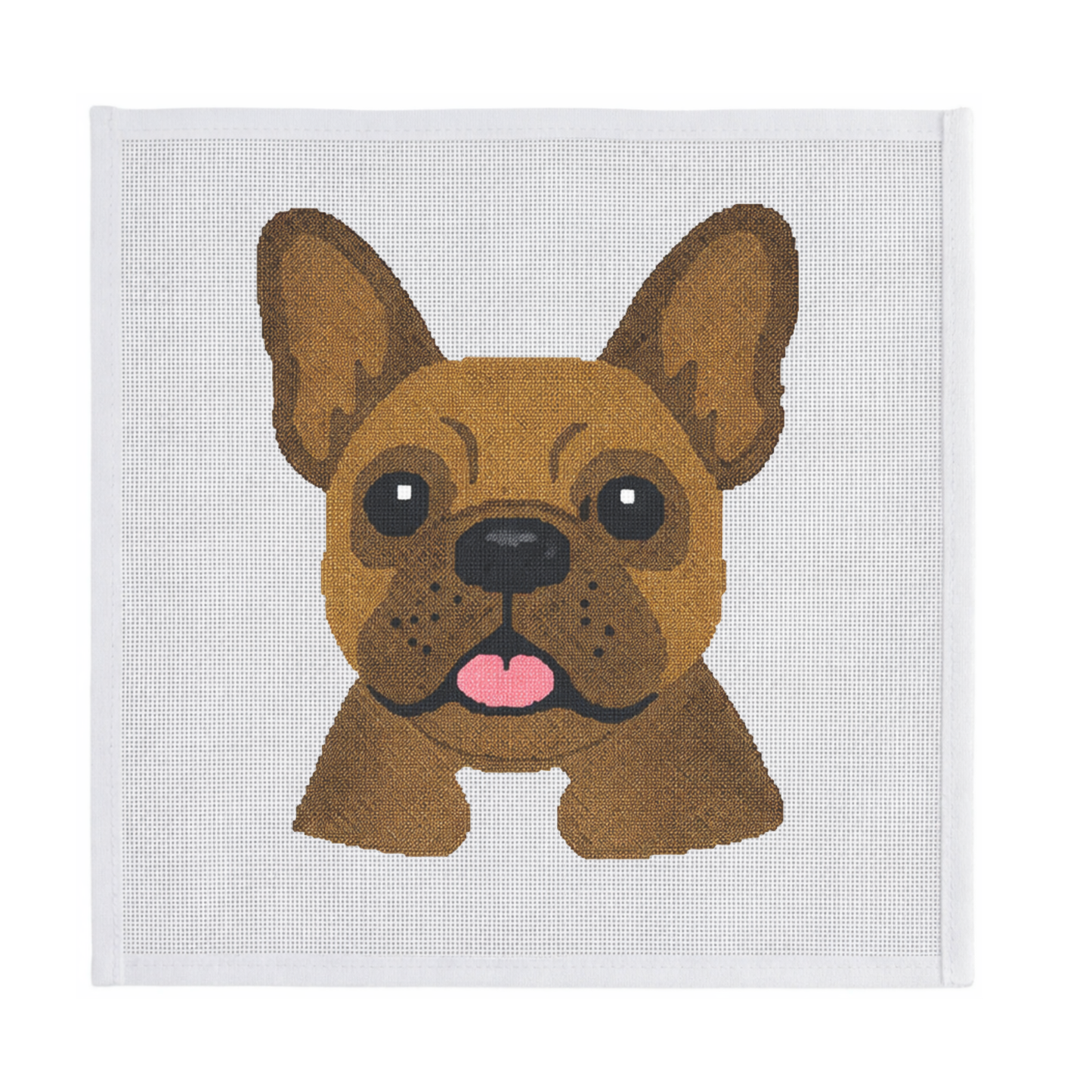 Brown French Bulldog