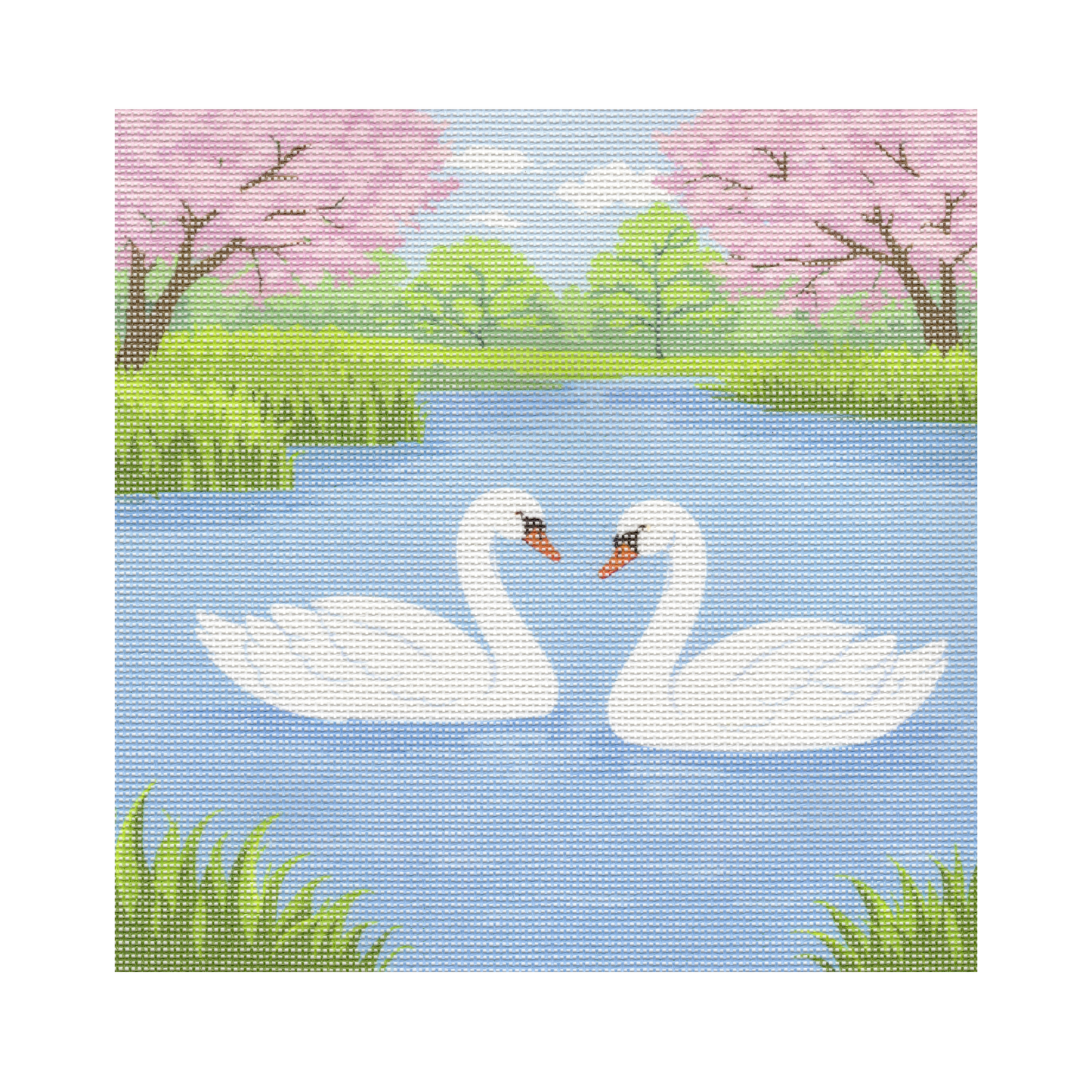 Swans in Pond — 12" x 12" Canvas