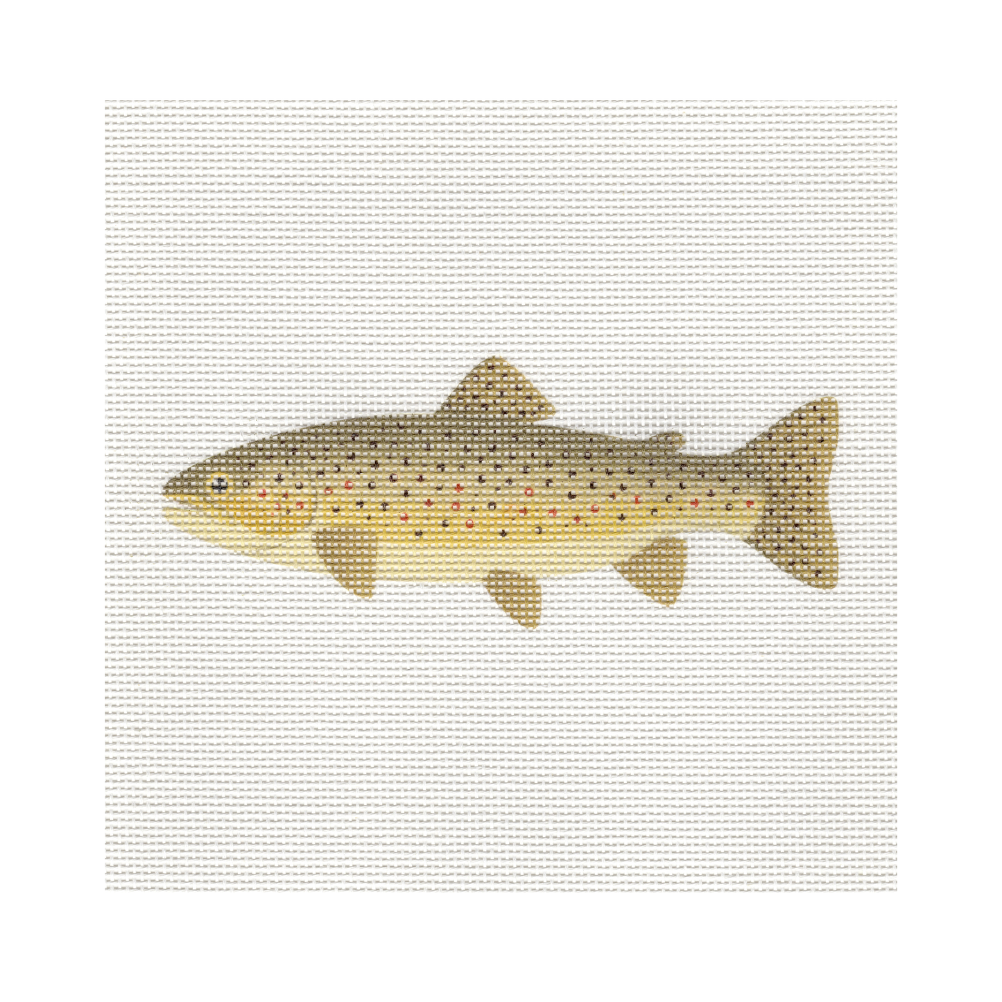 Brown Trout — 8" x 8" Canvas