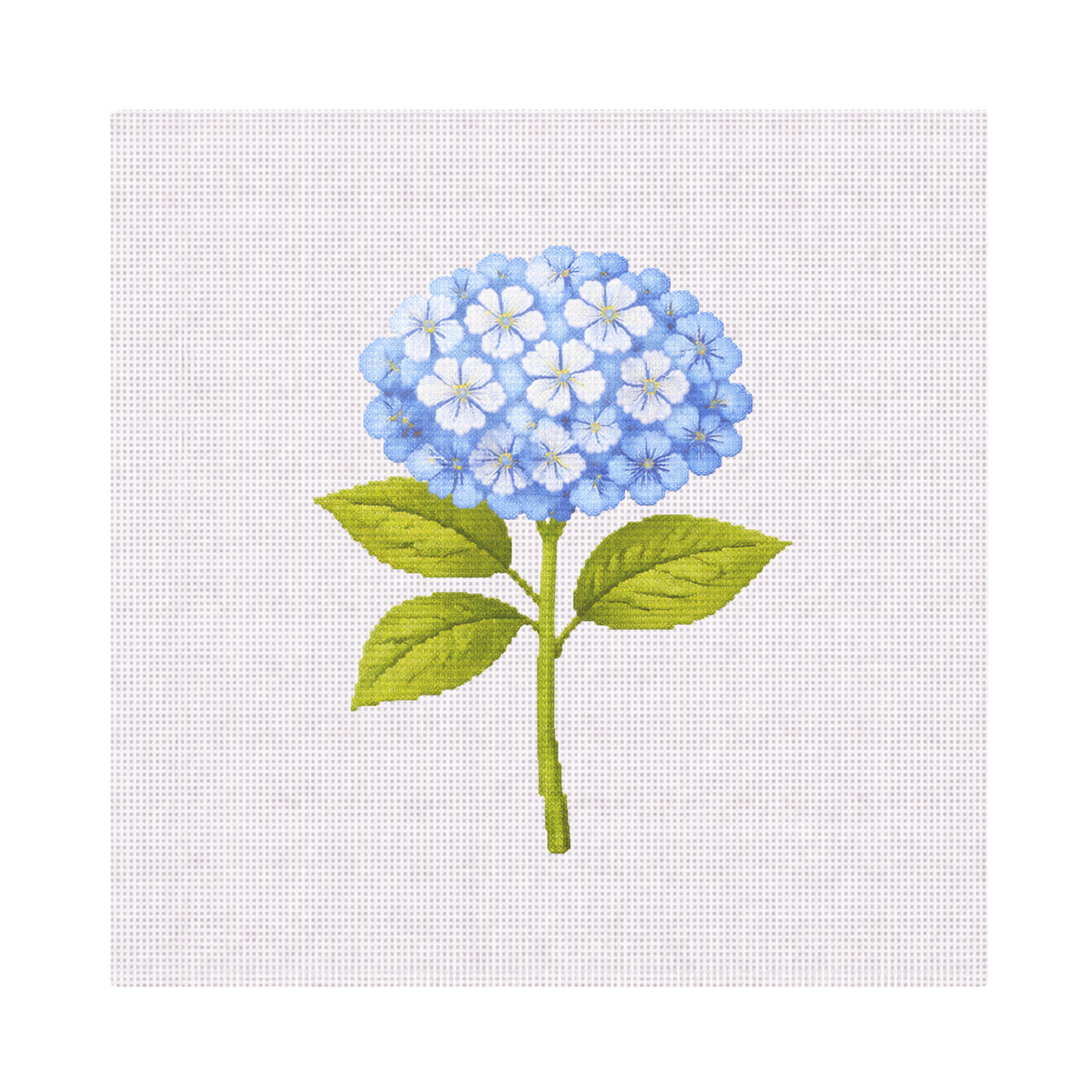 Blue Hydrangea — 8" x 8" Canvas