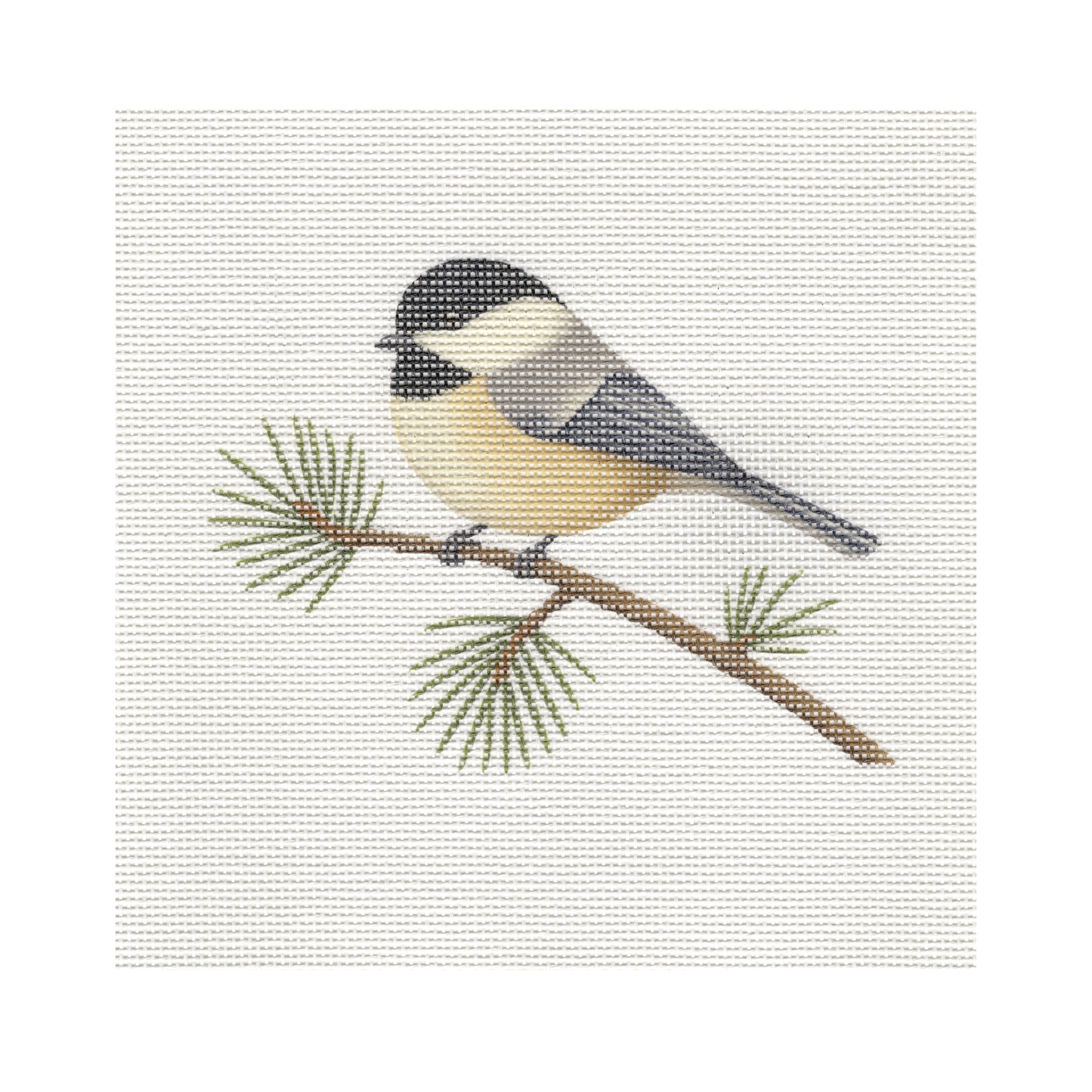 Chickadee — 8" x 8" Canvas