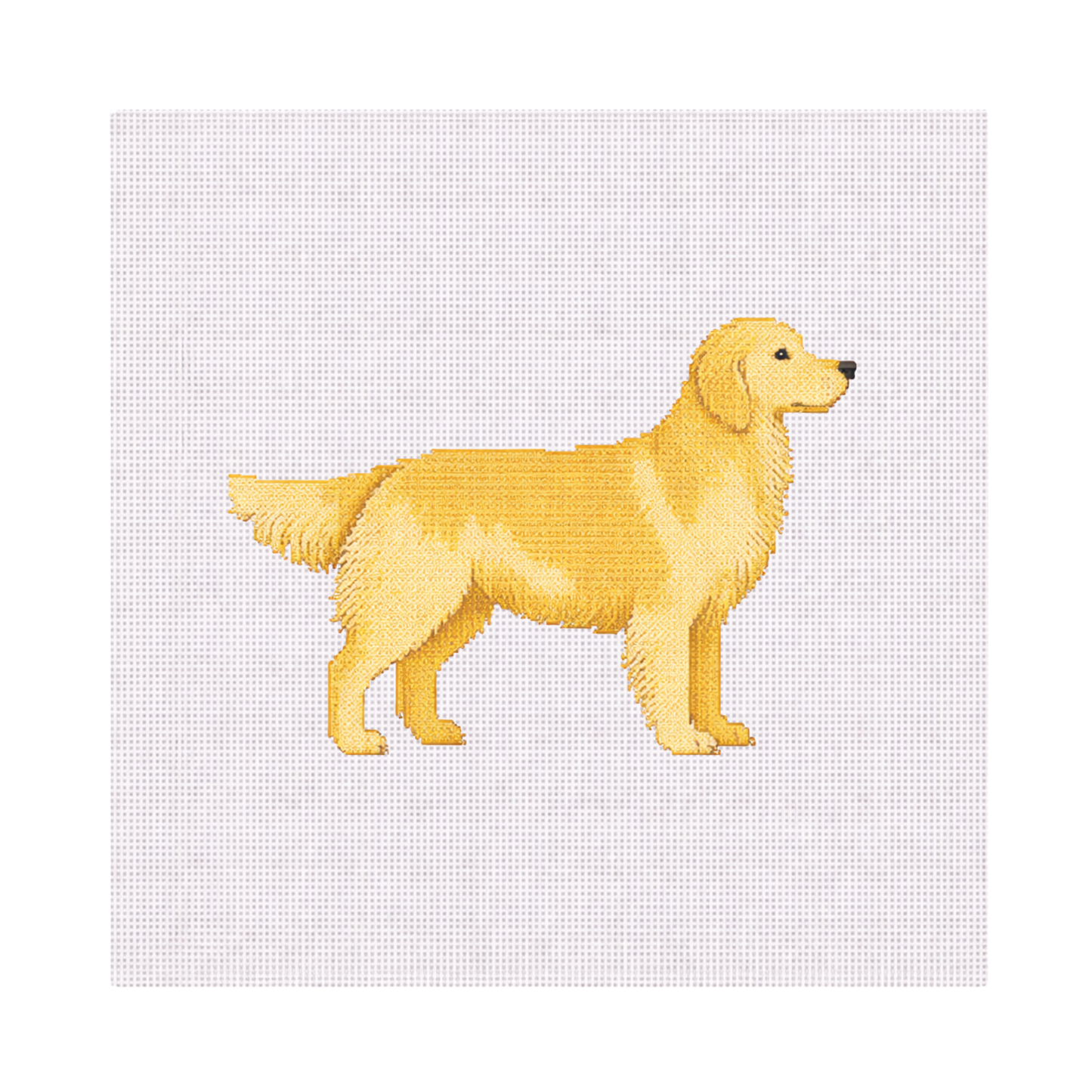 Golden Retriever — 8" x 8" Canvas