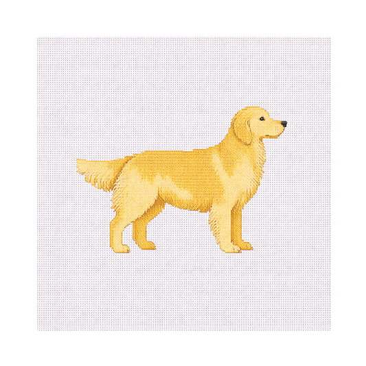 Golden Retriever — 8" x 8" Canvas