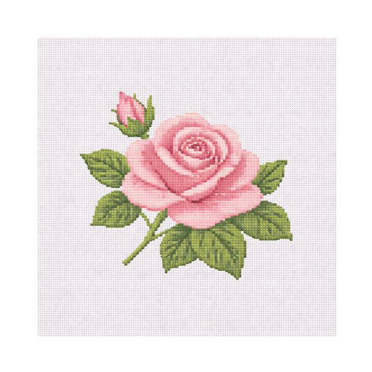 Pink Rose — 8" x 8" Canvas