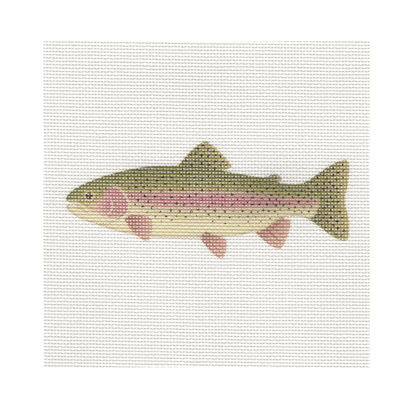 Rainbow Trout — 8" x 8" Canvas