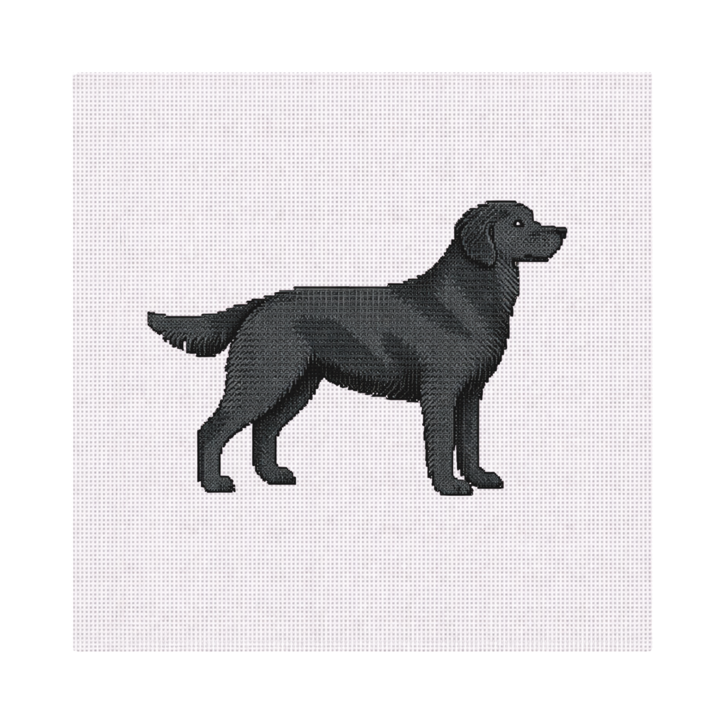 Black Lab — 8" x 8" Canvas