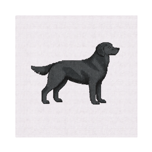 Black Lab — 8" x 8" Canvas