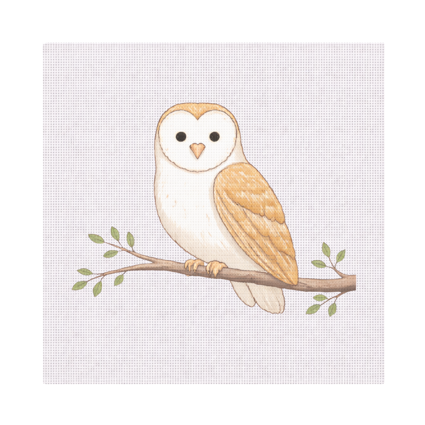 Barn Owl — 8" x 8" Canvas