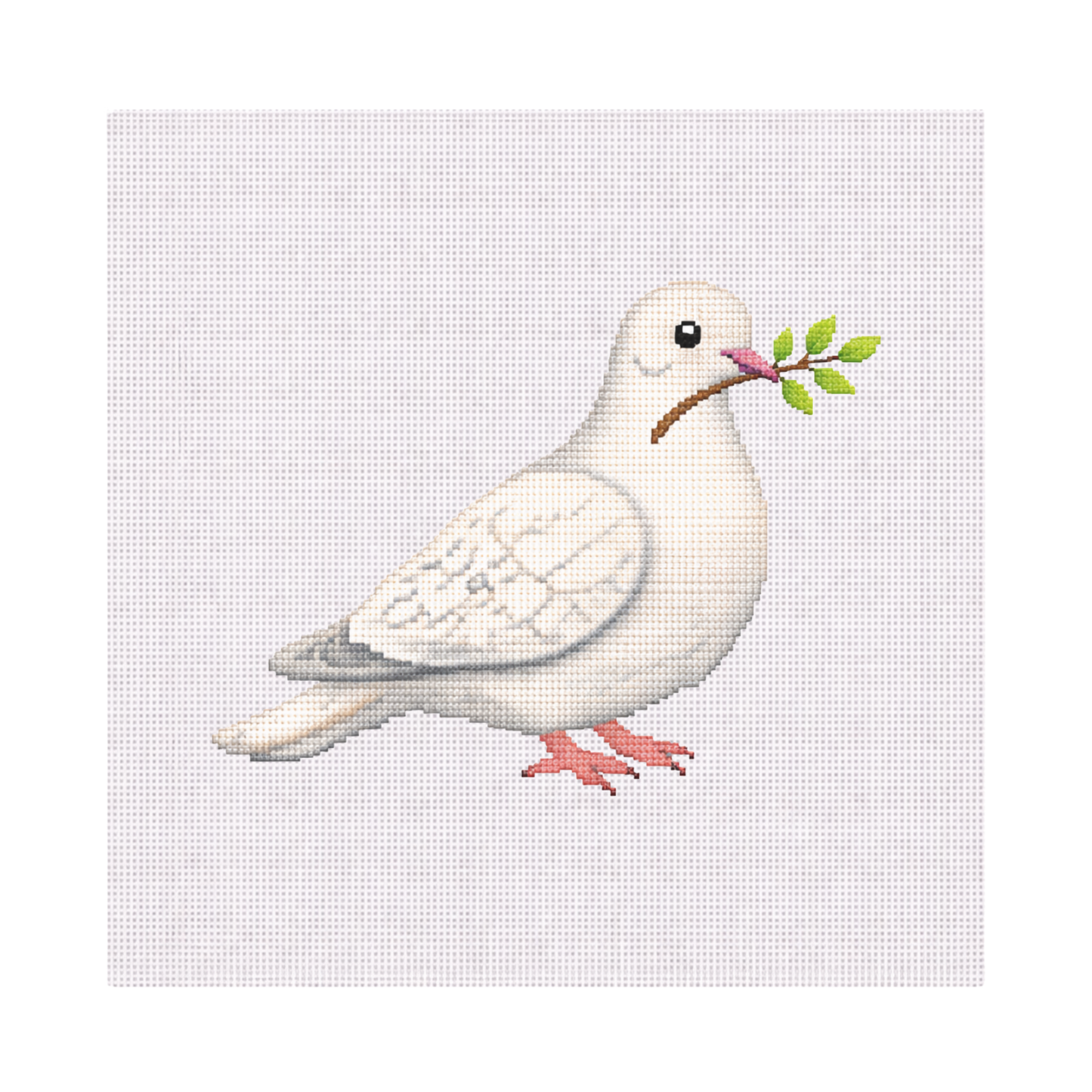 Dove — 8" x 8" Canvas