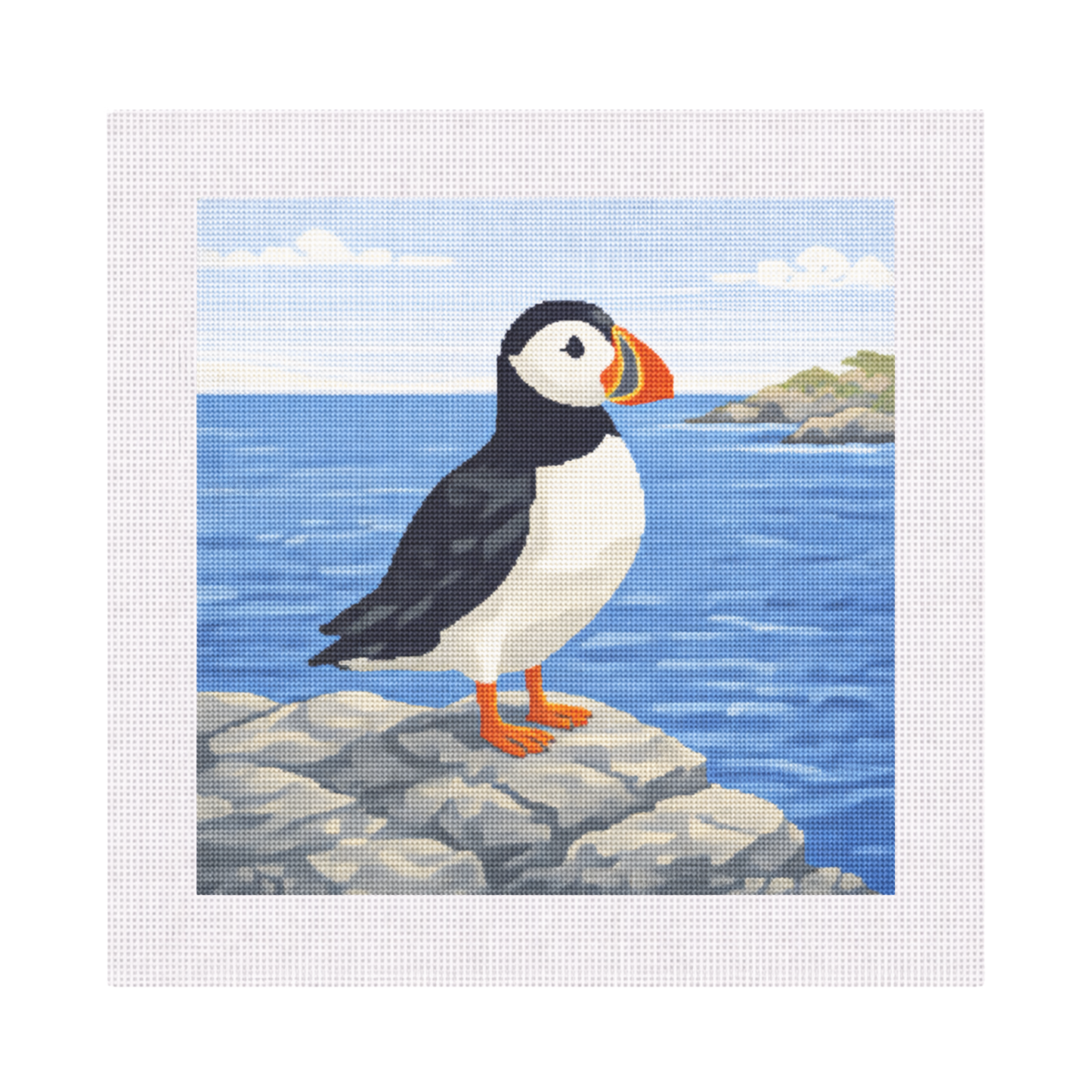Atlantic Puffin on Cliff — 12" x 12" Canvas