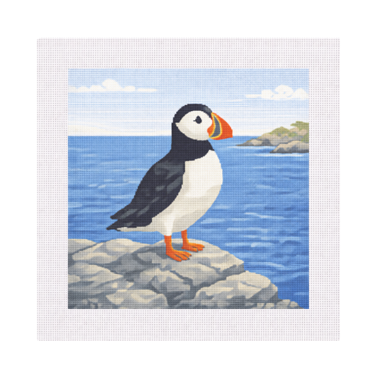 Atlantic Puffin on Cliff — 12" x 12" Canvas
