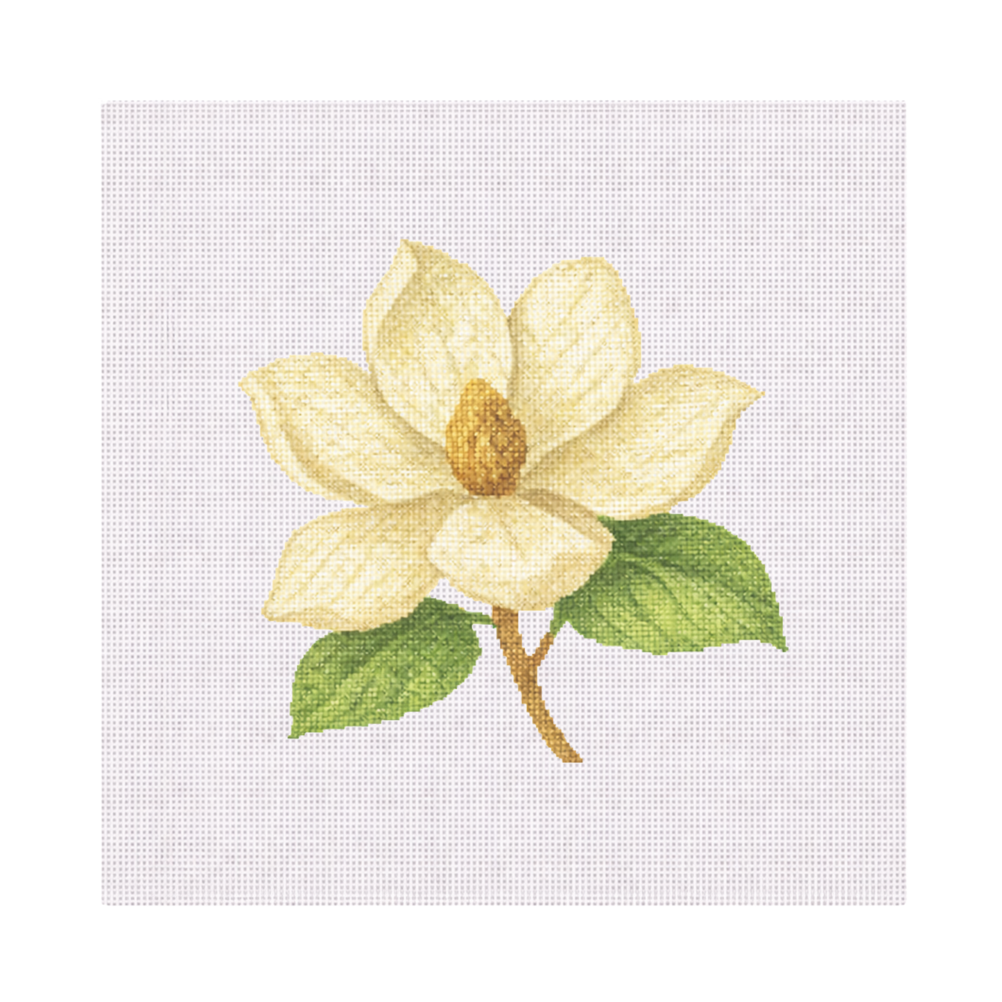 White Magnolia Flower — 8" x 8" Canvas