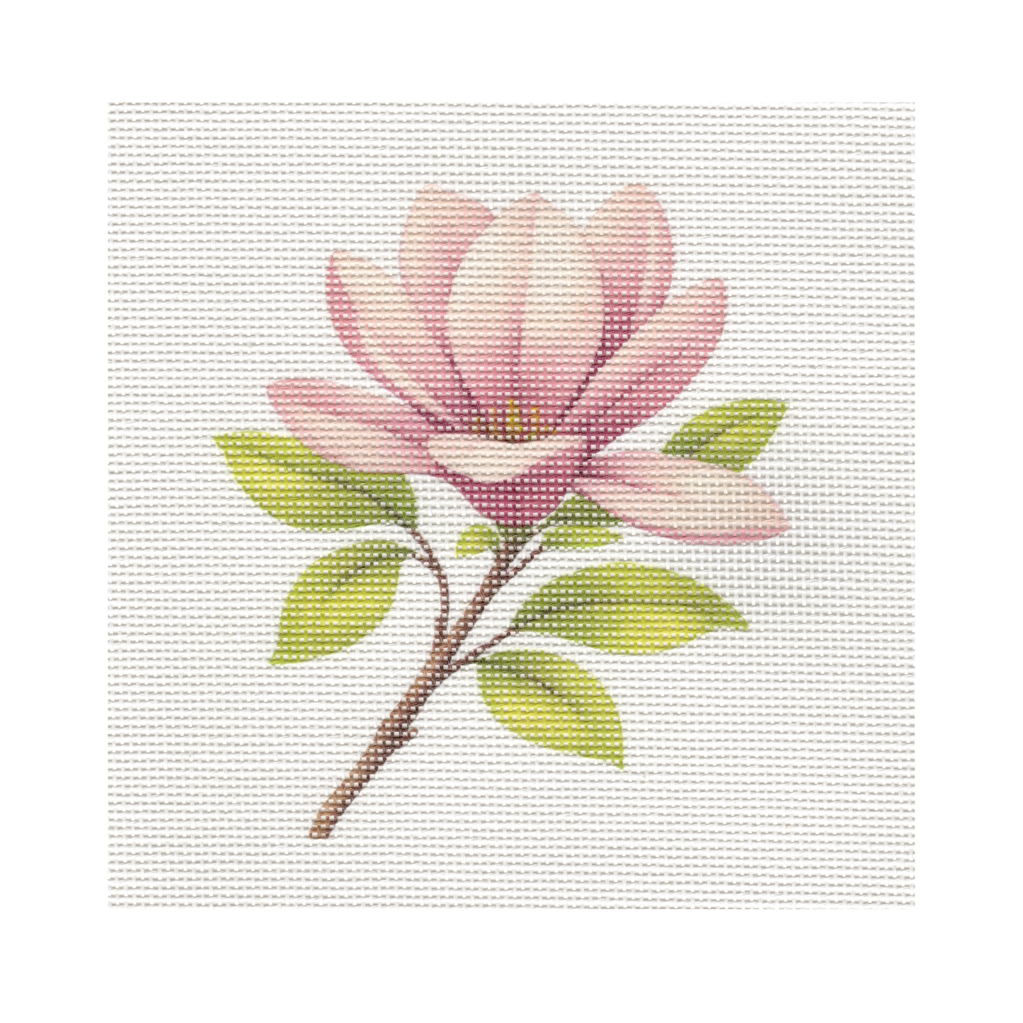 Pink Magnolia Flower — 8" x 8" Canvas