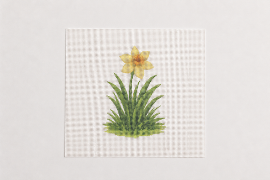 Flowering Daffodil — 8" x 8" Canvas