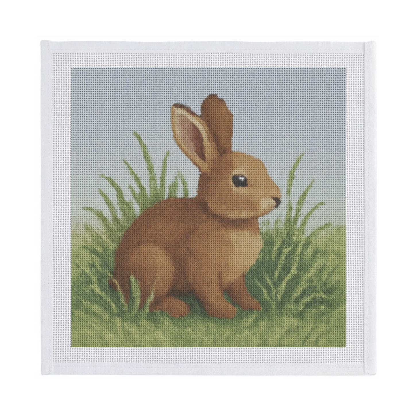 Bunny on Grass